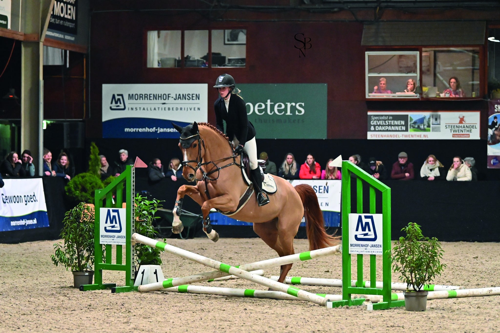 Jonge paardenopleiding